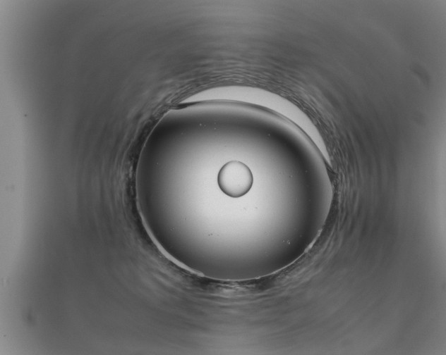 X0000112050229200908111357