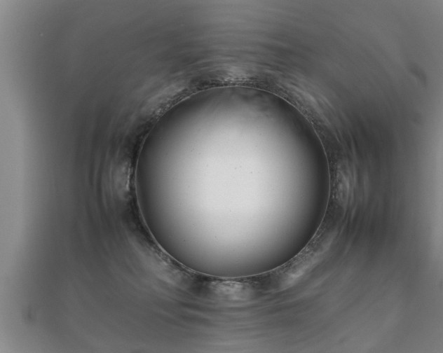 X0000112050230200908111357