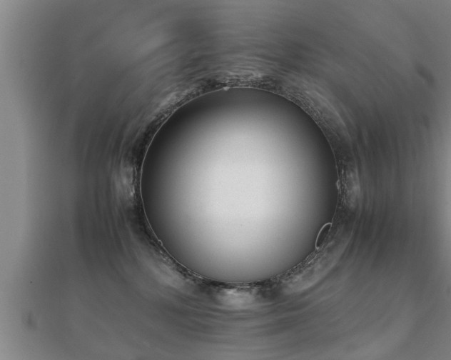 X0000112050232200908111357