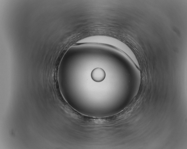 X0000112050233200908111357