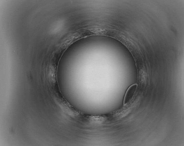 X0000112050234200908111357