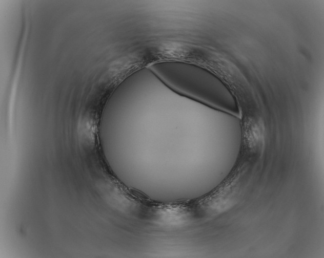 X0000112050235200908111357