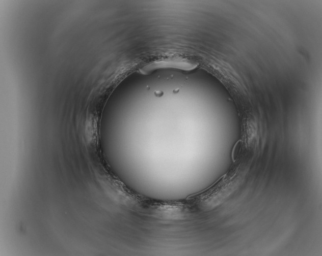 X0000112050236200908111357