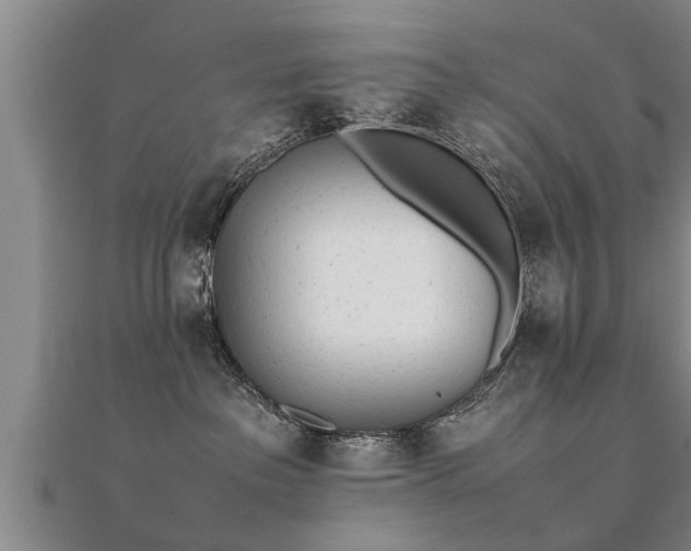 X0000112050237200908111357