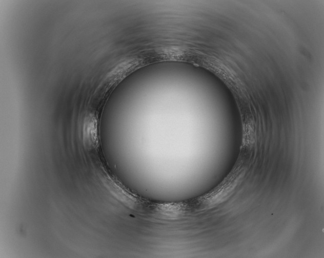 X0000112050238200908111357