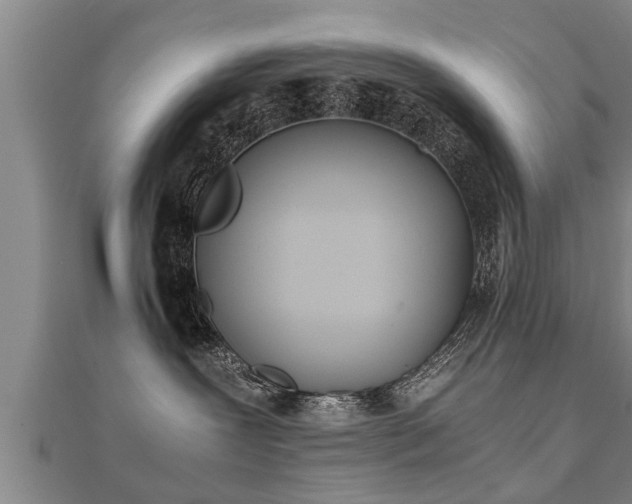 X0000112050239200908111357