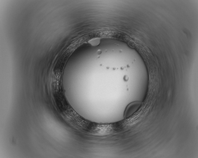 X0000112050240200908111357