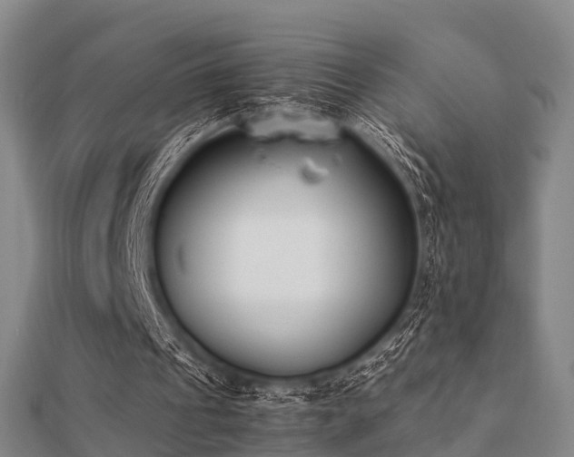 X0000112050241200908111356