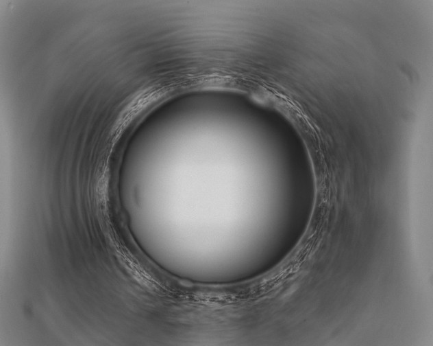 X0000112050242200908111356