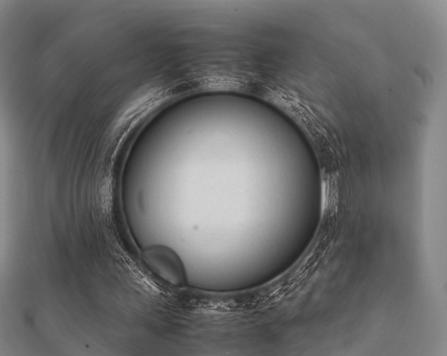 X0000112050243200908111356