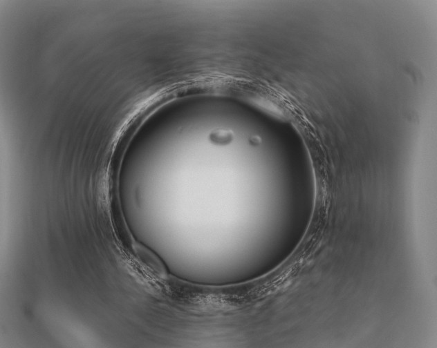 X0000112050244200908111356