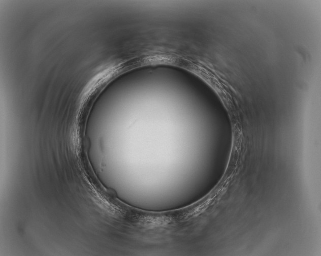 X0000112050245200908111356