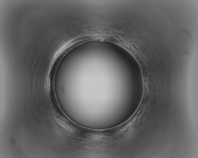 X0000112050246200908111356