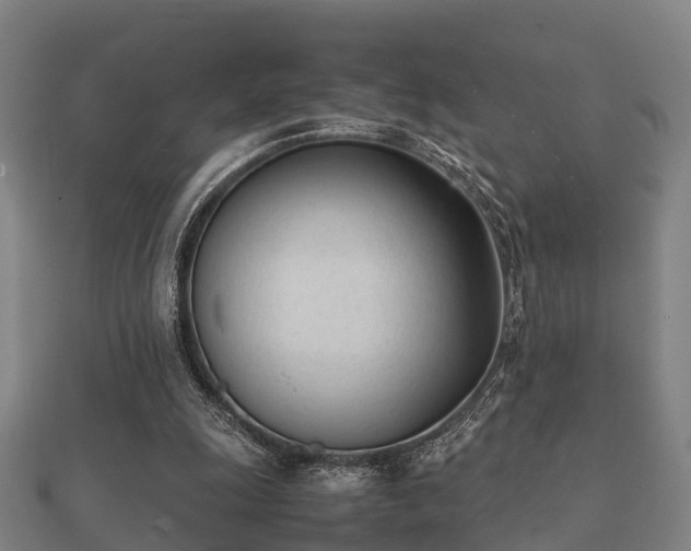 X0000112050247200908111356