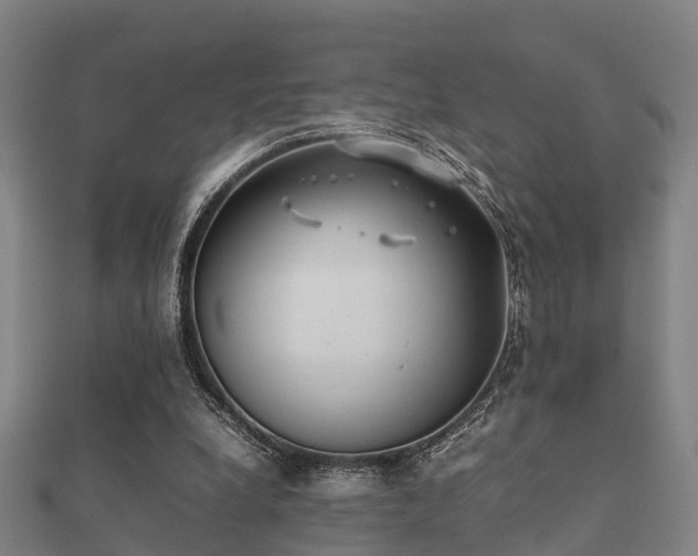 X0000112050248200908111356