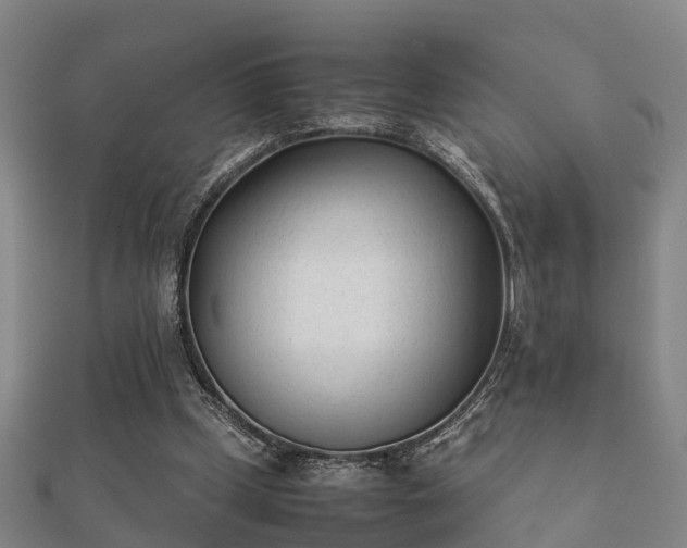 X0000112050249200908111356