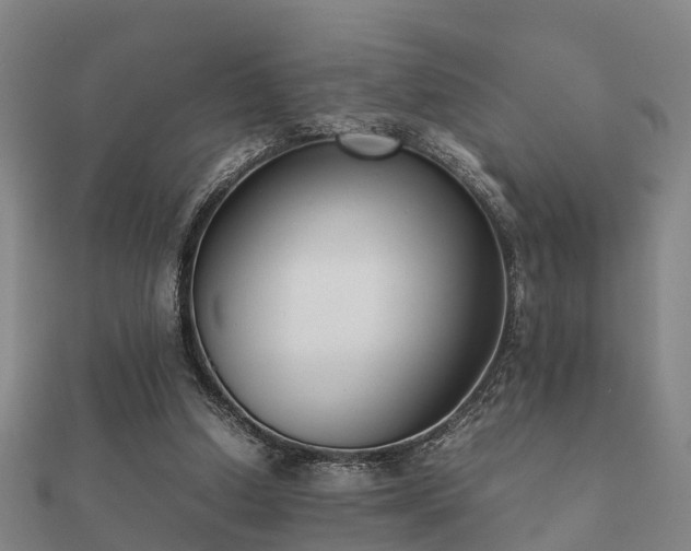 X0000112050250200908111356