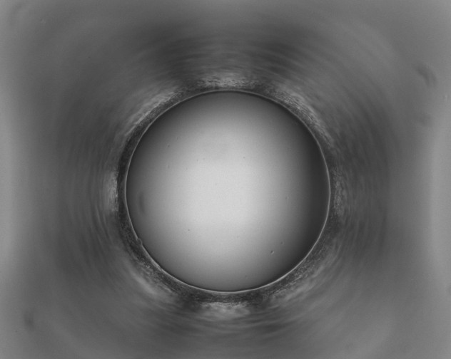 X0000112050251200908111356