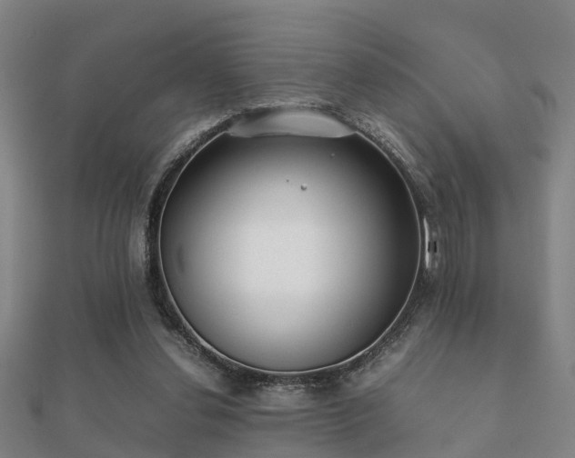 X0000112050252200908111356