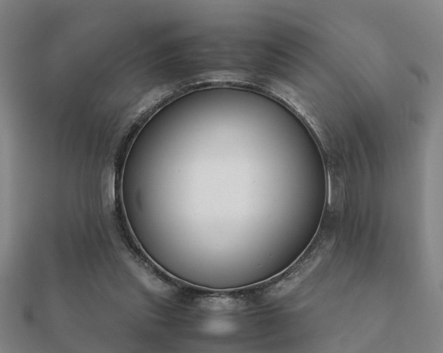 X0000112050253200908111356