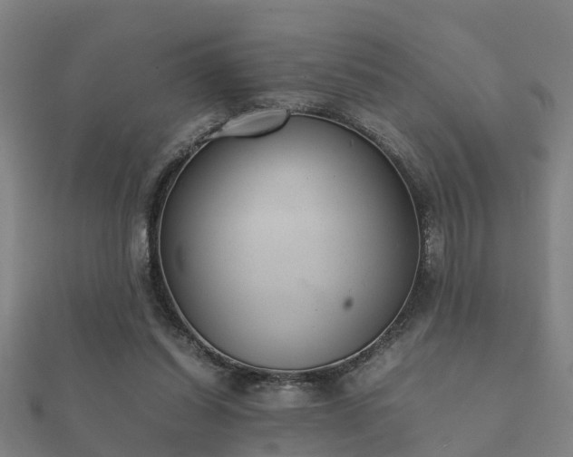 X0000112050254200908111357