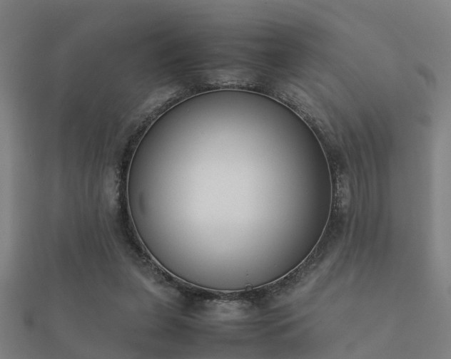 X0000112050255200908111357