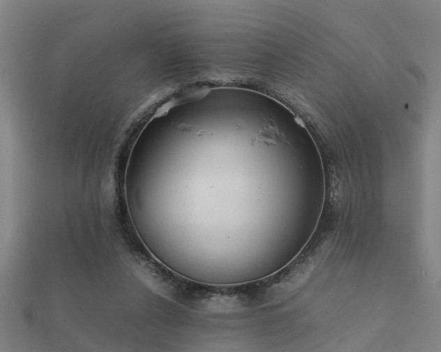 X0000112050256200908111357