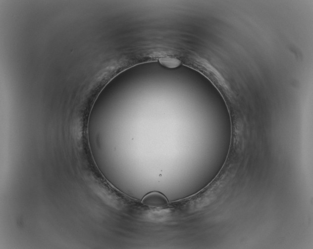 X0000112050257200908111357