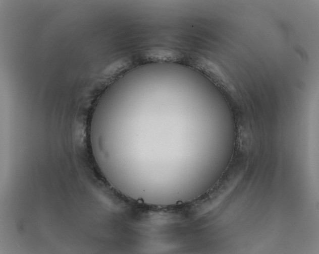 X0000112050259200908111357