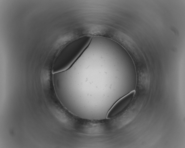 X0000112050260200908111357