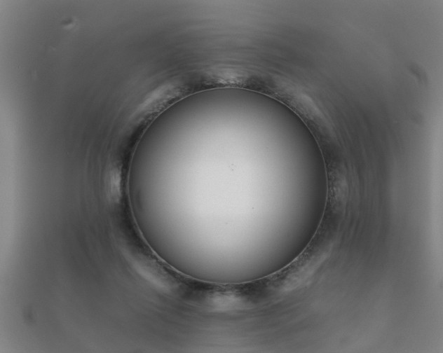 X0000112050262200908111357