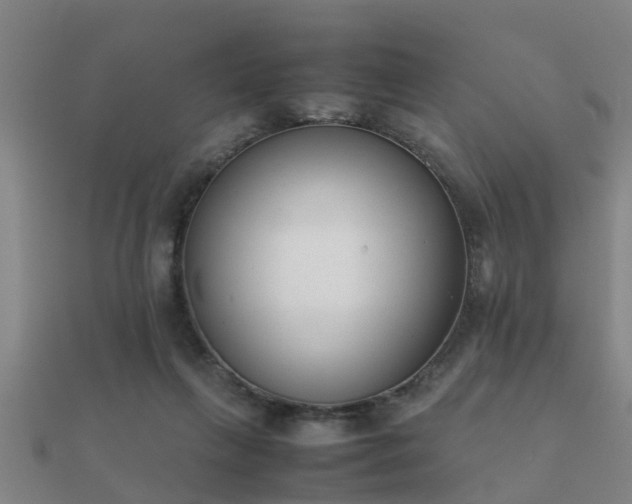 X0000112050263200908111357