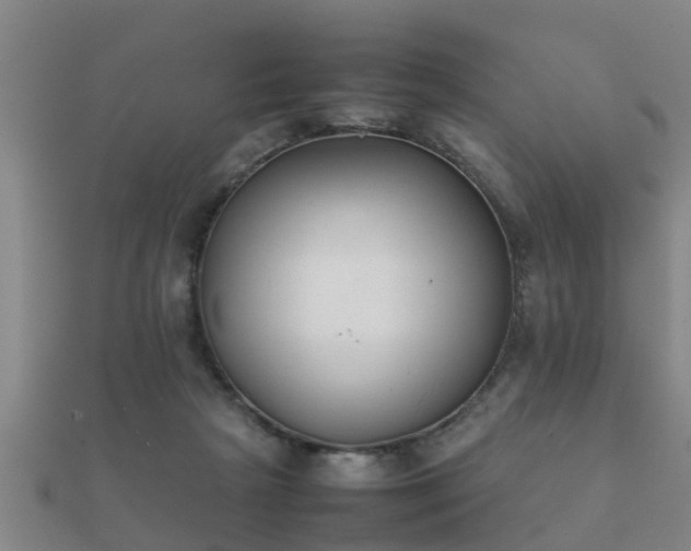 X0000112050265200908111357