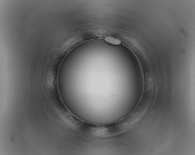 X0000112050266200908111357