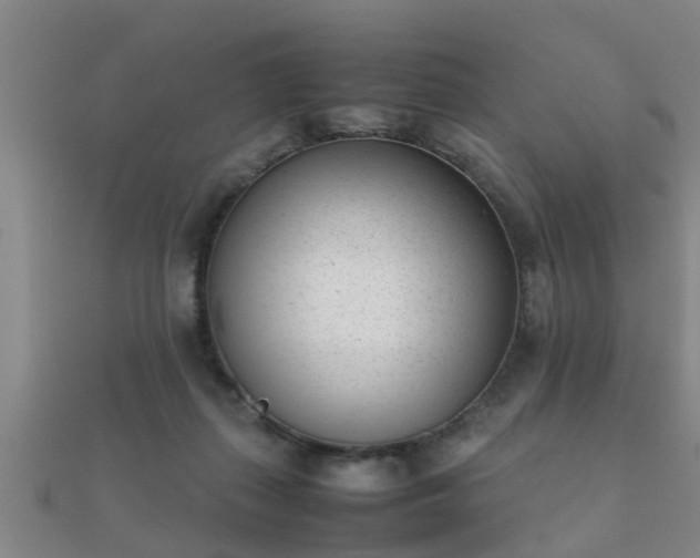 X0000112050267200908111357