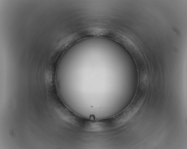 X0000112050268200908111357