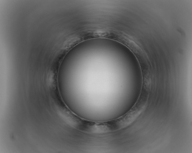 X0000112050270200908111357