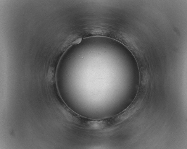 X0000112050273200908111357