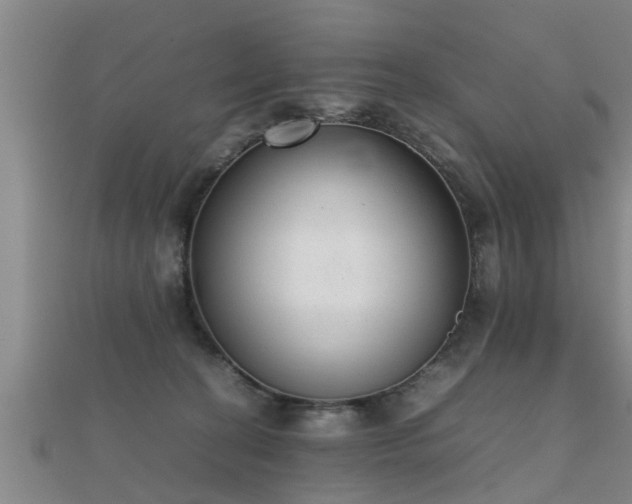 X0000112050274200908111357