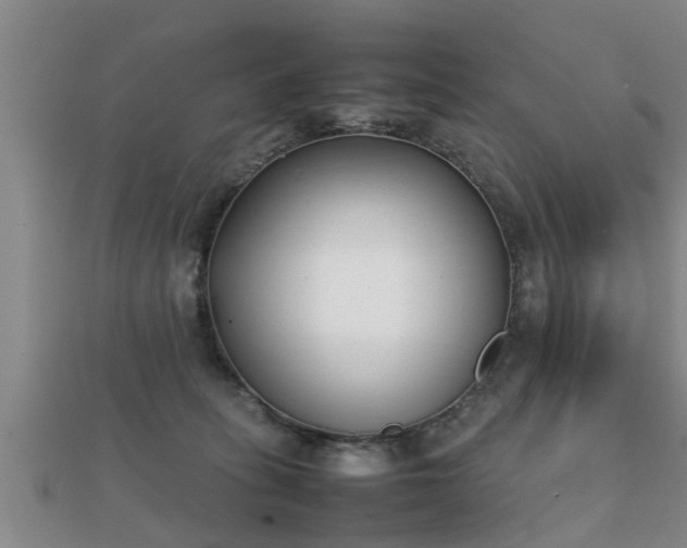 X0000112050275200908111357