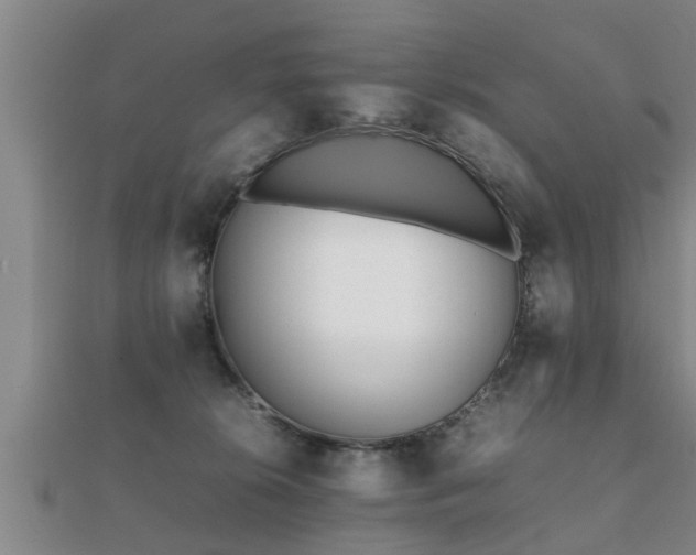 X0000112050276200908111357