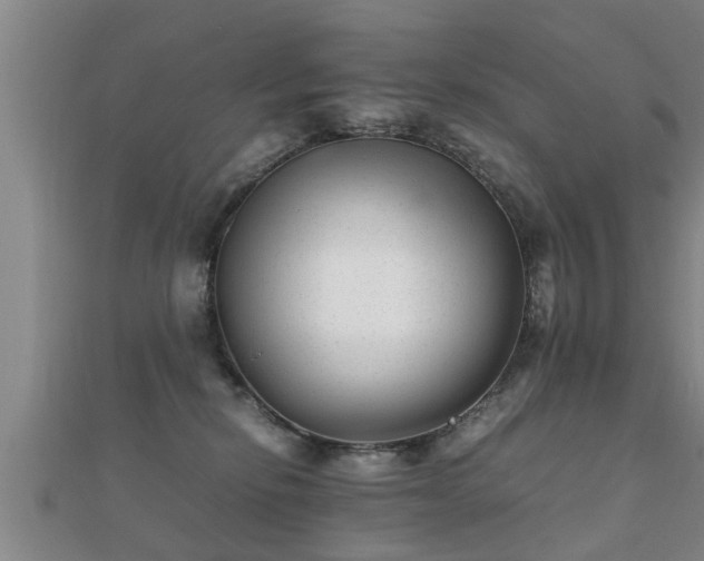 X0000112050278200908111357