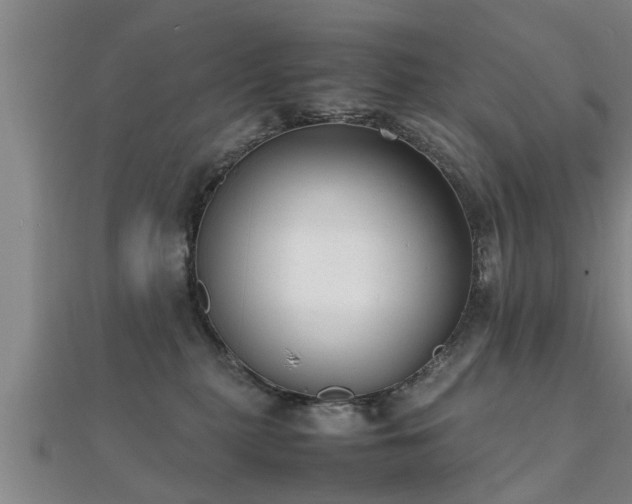 X0000112050279200908111357