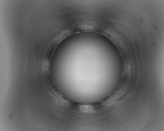 X0000112050281200908111357