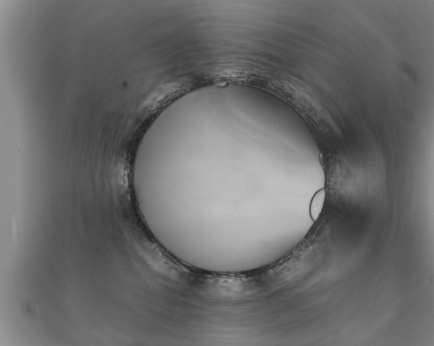 X0000112050282200908111357