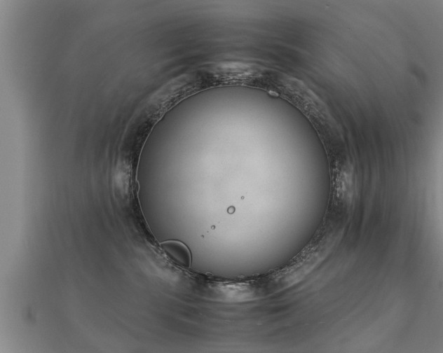 X0000112050283200908111357