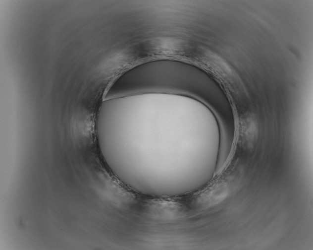 X0000112050284200908111357