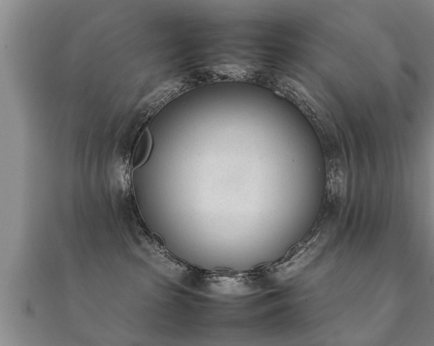 X0000112050285200908111357