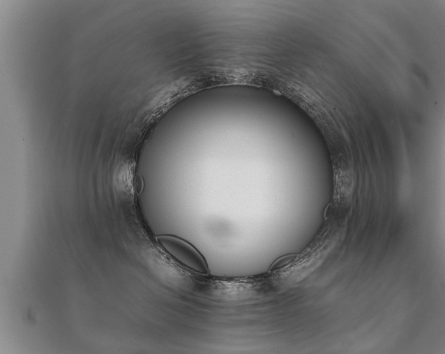 X0000112050286200908111357