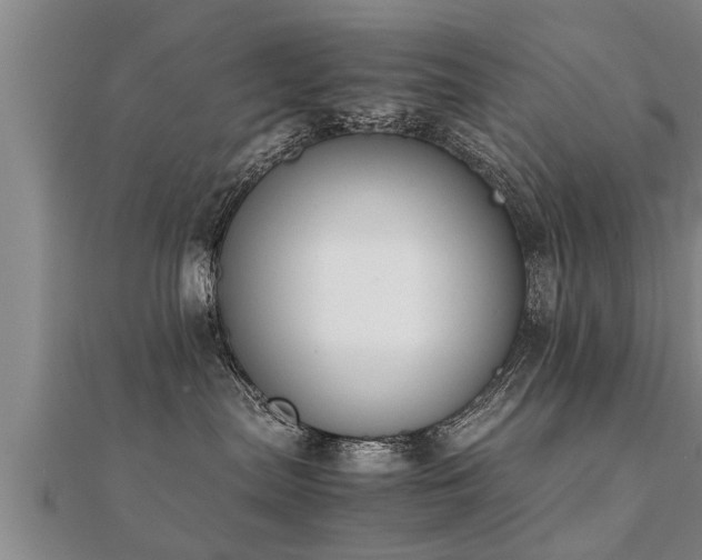 X0000112050287200908111357